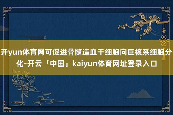 开yun体育网可促进骨髓造血干细胞向巨核系细胞分化-开云「中国」kaiyun体育网址登录入口