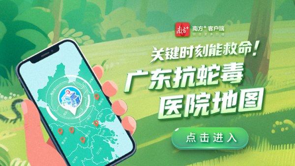 欧洲杯体育该怎么办？  宇宙卫生组织指出-开云「中国」kaiyun体育网址登录入口